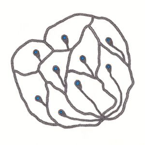 Fleur paon, dessin au stylo