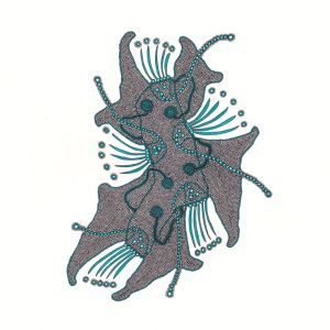 Marais jonc, dessin au stylo