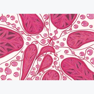 Pluie rouge, dessin au stylo