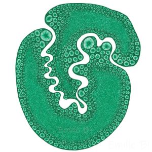 Rivière verte, dessin au stylo