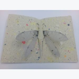 Carte Pop Up Libellule en papier recyclé
