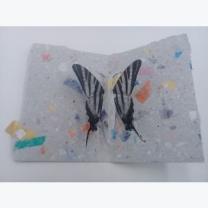 Carte Pop Up Papillon en papier recyclé