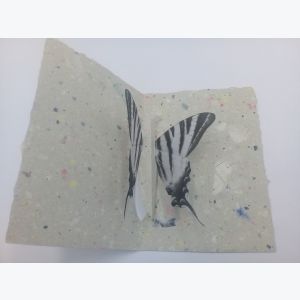 Carte Pop Up Papillon en papier recyclé