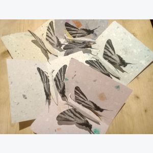 Carte Pop Up Papillon en papier recyclé