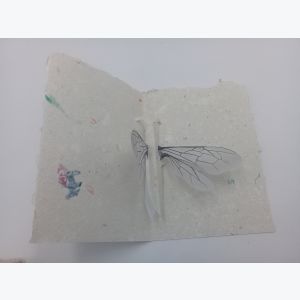 Carte Pop Up Abeille en papier recyclé