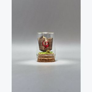 Bouclier Mojo Zelda – Mini Décoration Gamer – Cadeau fan Nintendo