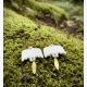 Boucles d’oreilles oiseaux en porcelaine blanche