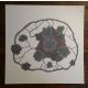 Cerveau lichen, dessin au stylo