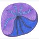 Plume, dessin au stylo