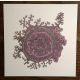 Lichen violet, dessin au stylo