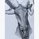 Dessin au feutre d'un Bélier - original