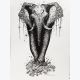 Illustration éléphant dark