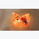 Veilleuse papillon