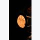 Sculpture Végétale Lumineuse à base de Calebasse "Sphère"